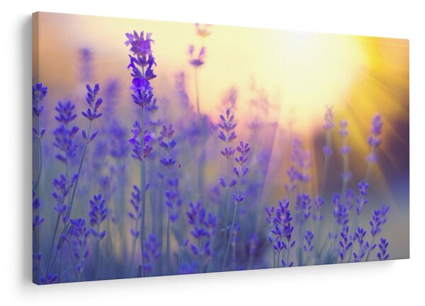 Slika - Lavanda (90x60 cm)