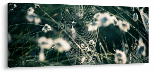 Slika - Paučina (120x50 cm)