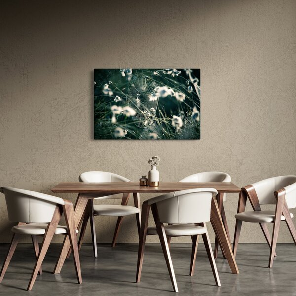 Slika - Paučina (90x60 cm)