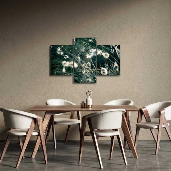 Slika - Paučina (90x60 cm)