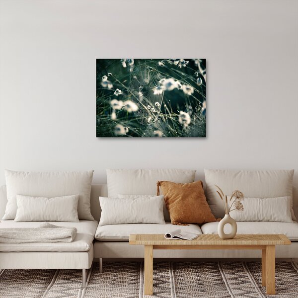 Slika - Paučina (70x50 cm)