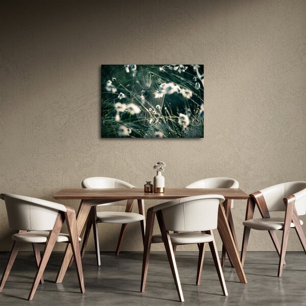 Slika - Paučina (70x50 cm)