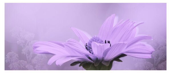 Slika - Ljubičasti cvijet (120x50 cm)