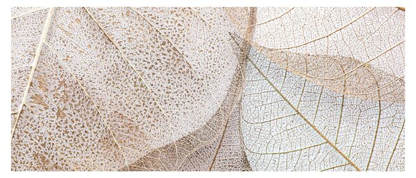 Slika - Bež lišće (120x50 cm)