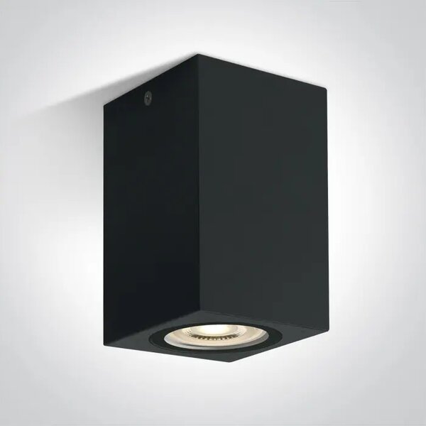 STROPNA SVJETILJKA 1×GU10/10W/230V IP65 CRNA DM67142D/B