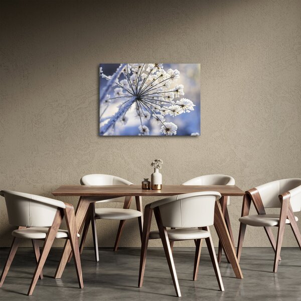 Slika - Smrznuti cvijet (70x50 cm)