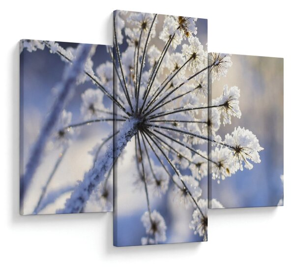 Slika - Smrznuti cvijet (90x60 cm)