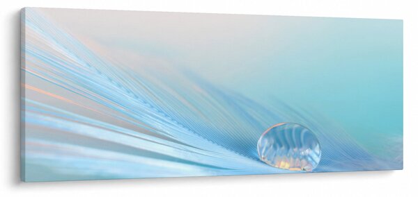 Slika - Plava kap (120x50 cm)