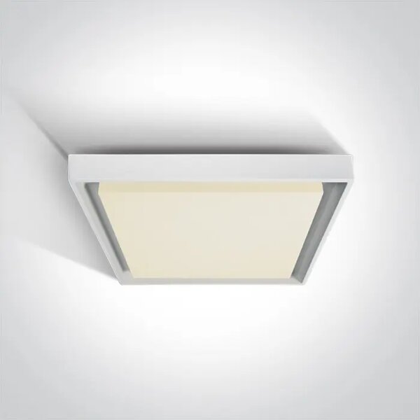 STROPNA SVJETILJKA LED 30W IP54 BIJELA DM67384A/W/W