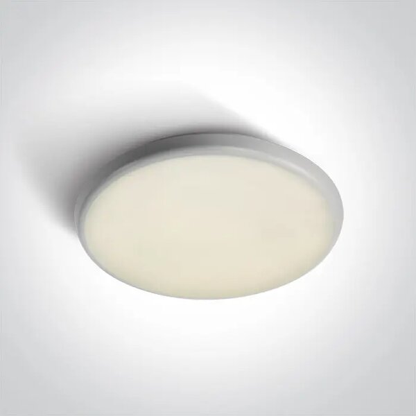 PLAFONJERA LED/25W/4000K/200lm/240V IP54 BIJELA DM67370/W/C