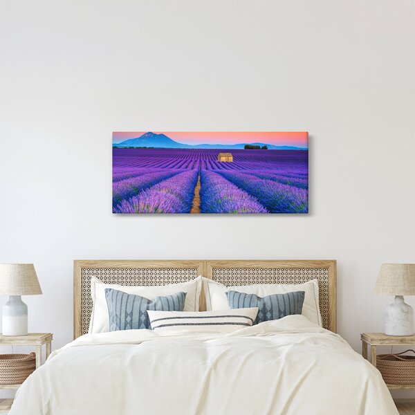 Slika - Polje lavande (120x50 cm)