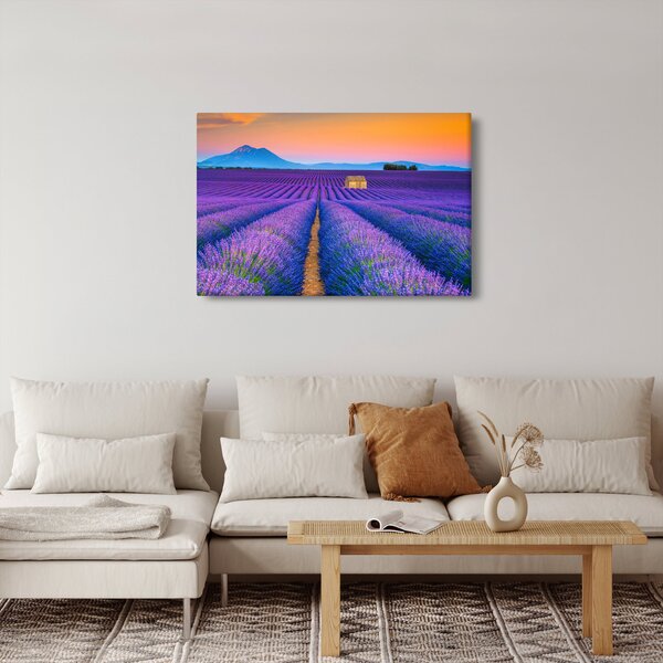 Slika - Polje lavande (90x60 cm)