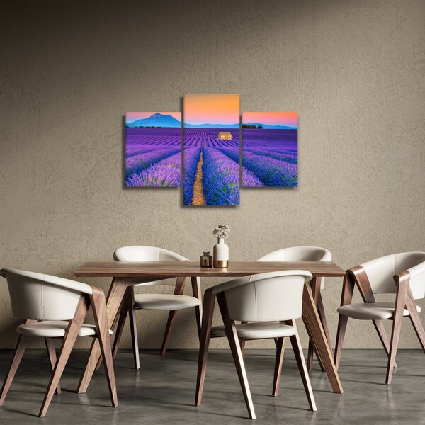 Slika - Polje lavande (90x60 cm)