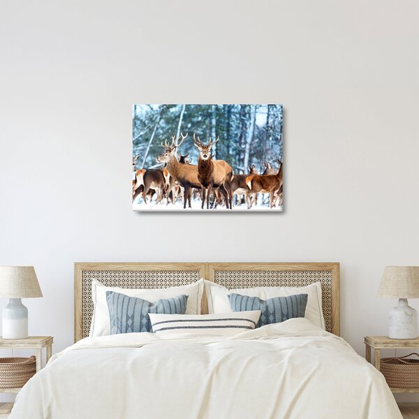 Slika - Krdo jelena (70x50 cm)