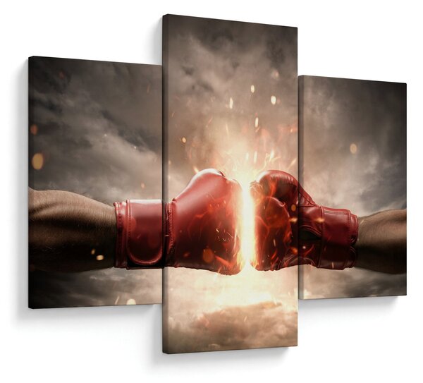 Slika - Boks (90x60 cm)