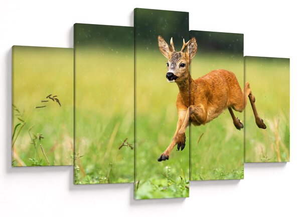 Slika - Bambi (150x105 cm)