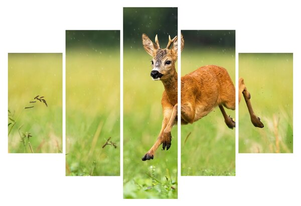 Slika - Bambi (150x105 cm)