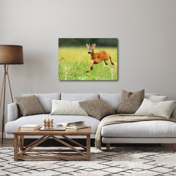 Slika - Bambi (70x50 cm)