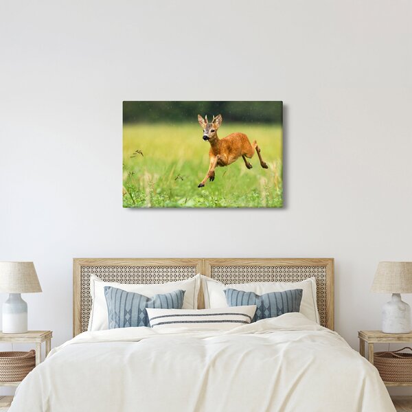 Slika - Bambi (90x60 cm)