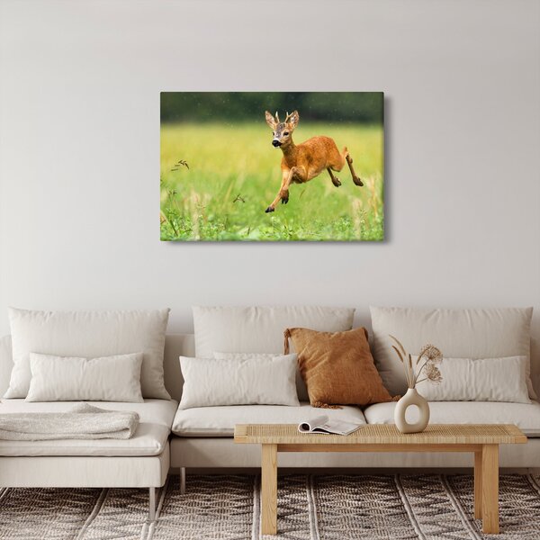 Slika - Bambi (90x60 cm)