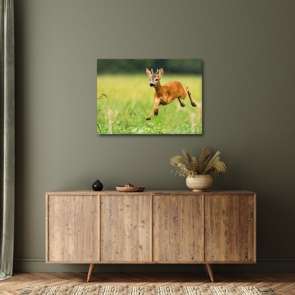Slika - Bambi (70x50 cm)