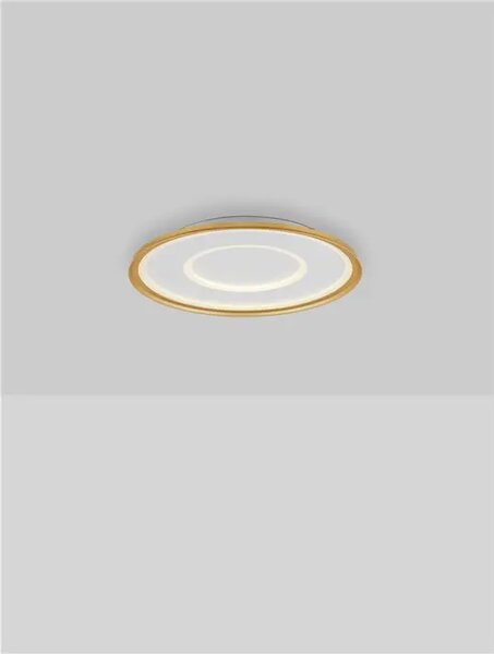 FIGIN PLAFONJERA LED/2700-5000K/40W/2244Lm/ZLATNA NL9248179