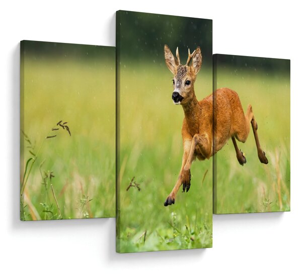 Slika - Bambi (90x60 cm)