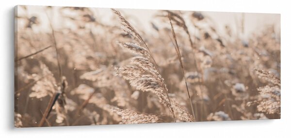 Slika - Livadski povjetarac (120x50 cm)
