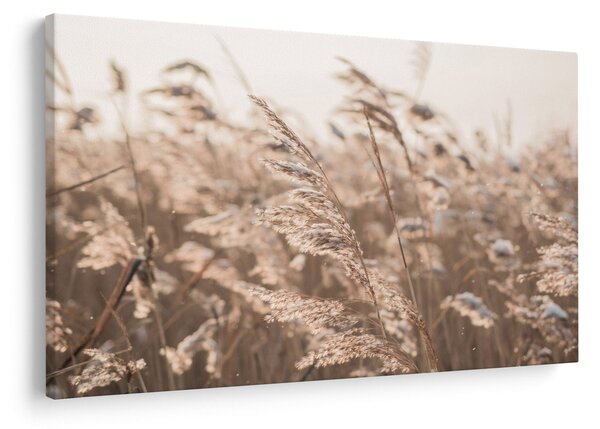 Slika - Livadski povjetarac (90x60 cm)