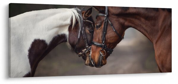 Slika - Zaljubljeni konji (120x50 cm)