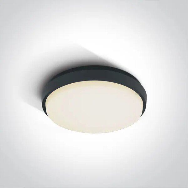 PLAFONJERA LED/20W/1600lm/3000K/fi:238mm/230V IP54 ANTRACIT DM67362/AN/W