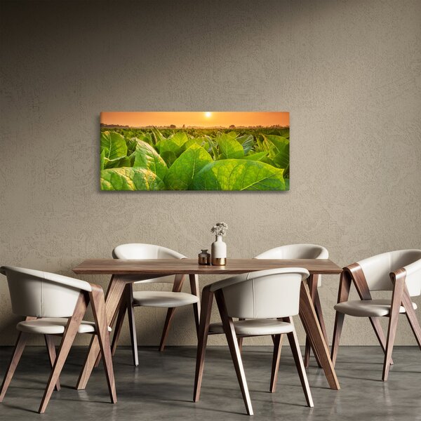 Slika - Polje (120x50 cm)