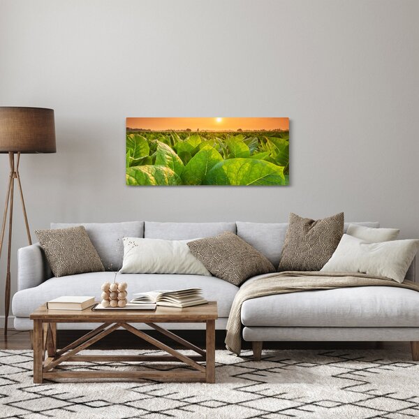 Slika - Polje (120x50 cm)