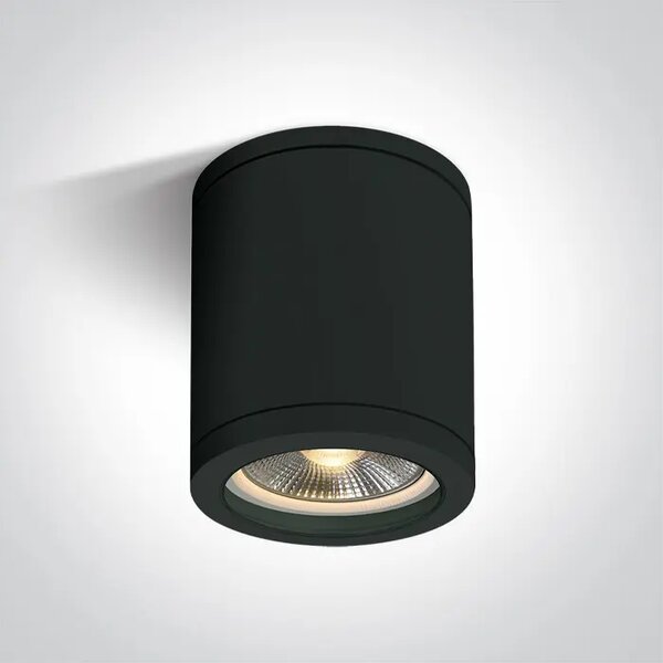 STROPNA SVJETILJKA E27 10w PAR30 IP65 CRNA DM67142C/B
