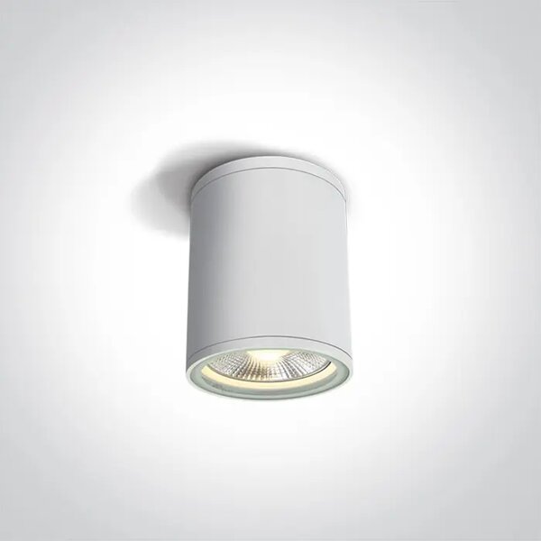 STROPNA SVJETILJKA 1×E27/75W/PAR30/230V IP54 BIJELA DM67132C/W