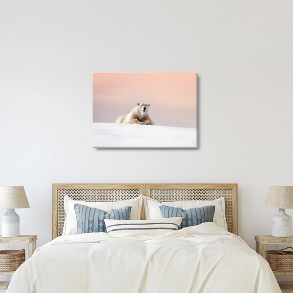 Slika - Polarni medvjed (70x50 cm)