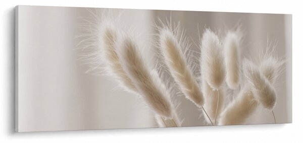 Slika - Zečji repovi (120x50 cm)