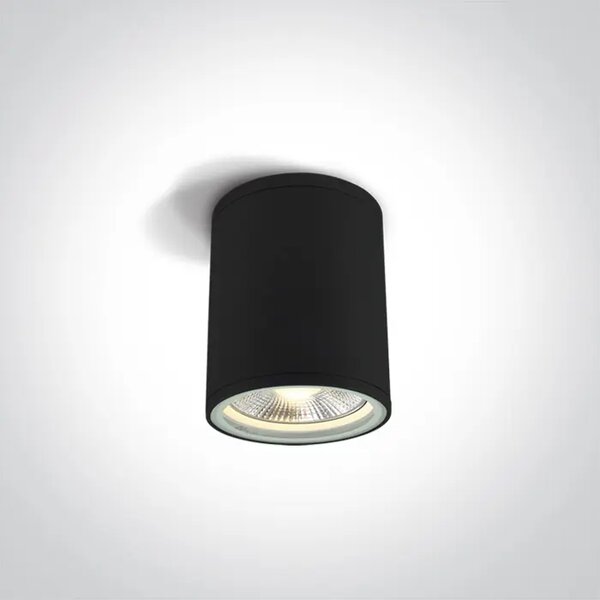 STROPNA SVJETILJKA 1×E27/75W/PAR30/230V IP54 CRNA DM67132C/B