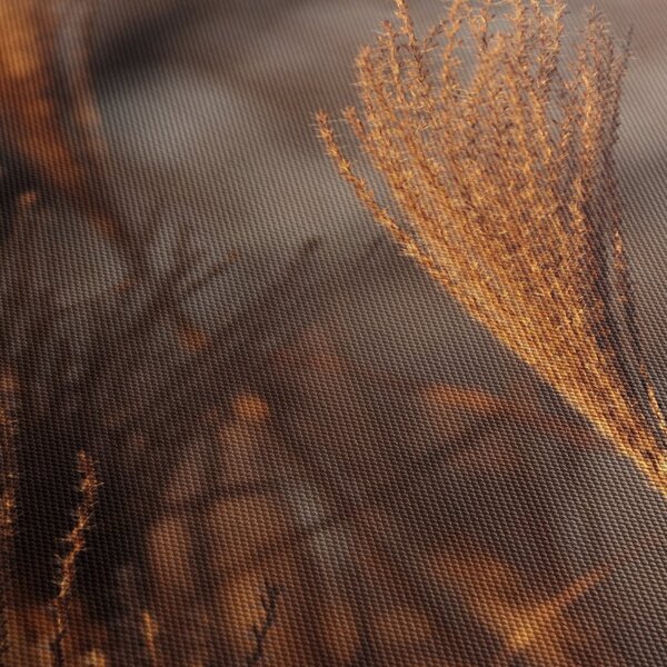 Slika - Pampas trava (90x60 cm)