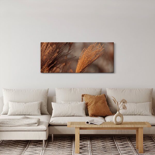 Slika - Pampas trava (120x50 cm)