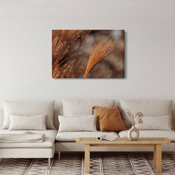 Slika - Pampas trava (90x60 cm)