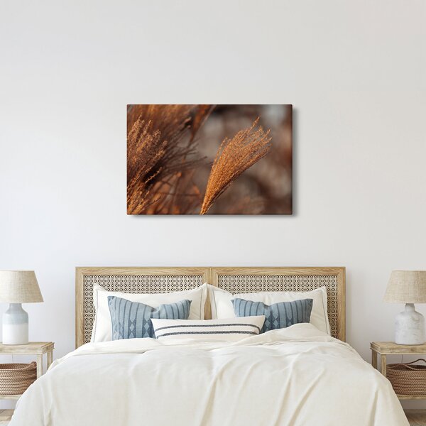 Slika - Pampas trava (90x60 cm)