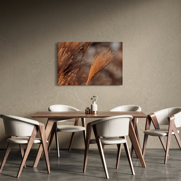 Slika - Pampas trava (90x60 cm)