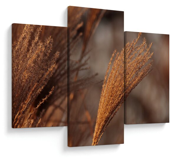 Slika - Pampas trava (90x60 cm)
