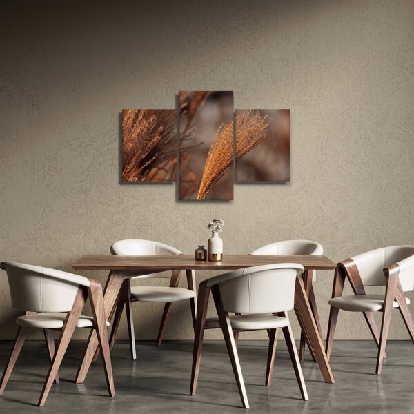 Slika - Pampas trava (90x60 cm)