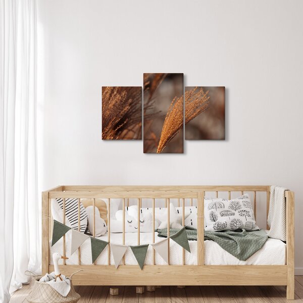 Slika - Pampas trava (90x60 cm)