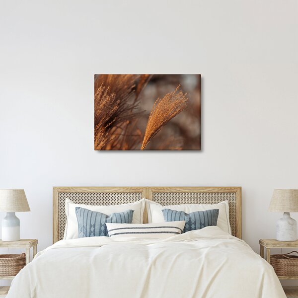 Slika - Pampas trava (70x50 cm)