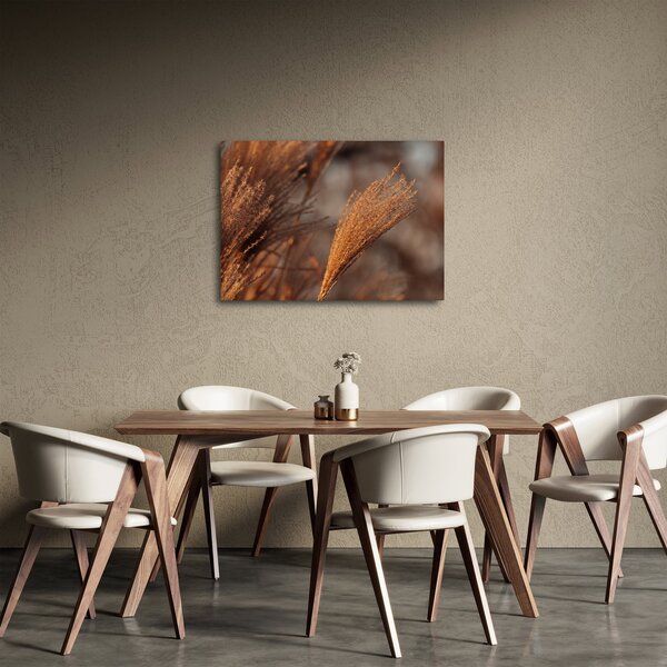 Slika - Pampas trava (70x50 cm)