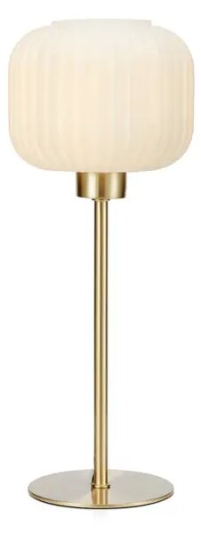SOBER STOLNA LAMPA BRUŠENO STARO ZLATO/BIJELA E14 MA108120