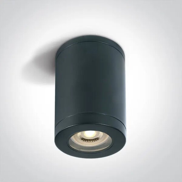STROPNA SVJETILJKA 1×GU10/35W/230V IP54 CRNA DM67142A/B